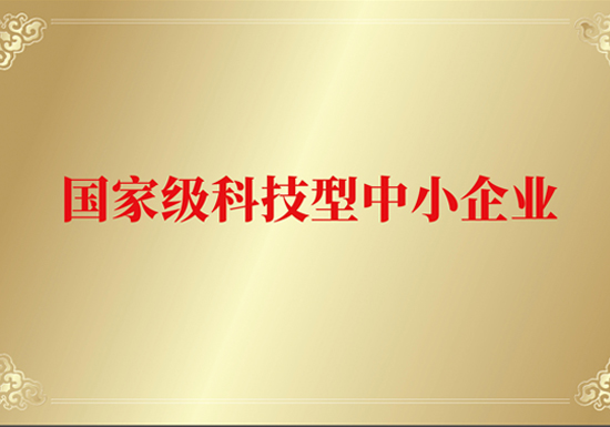 国家级科技型中小企业